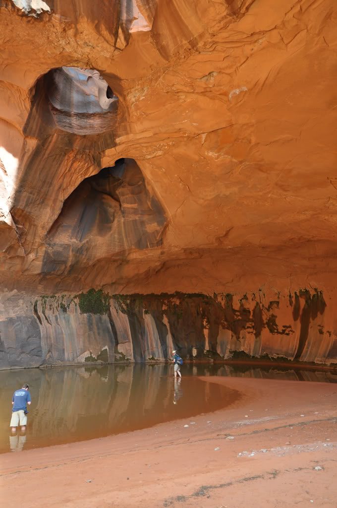 desert2010-5.jpg