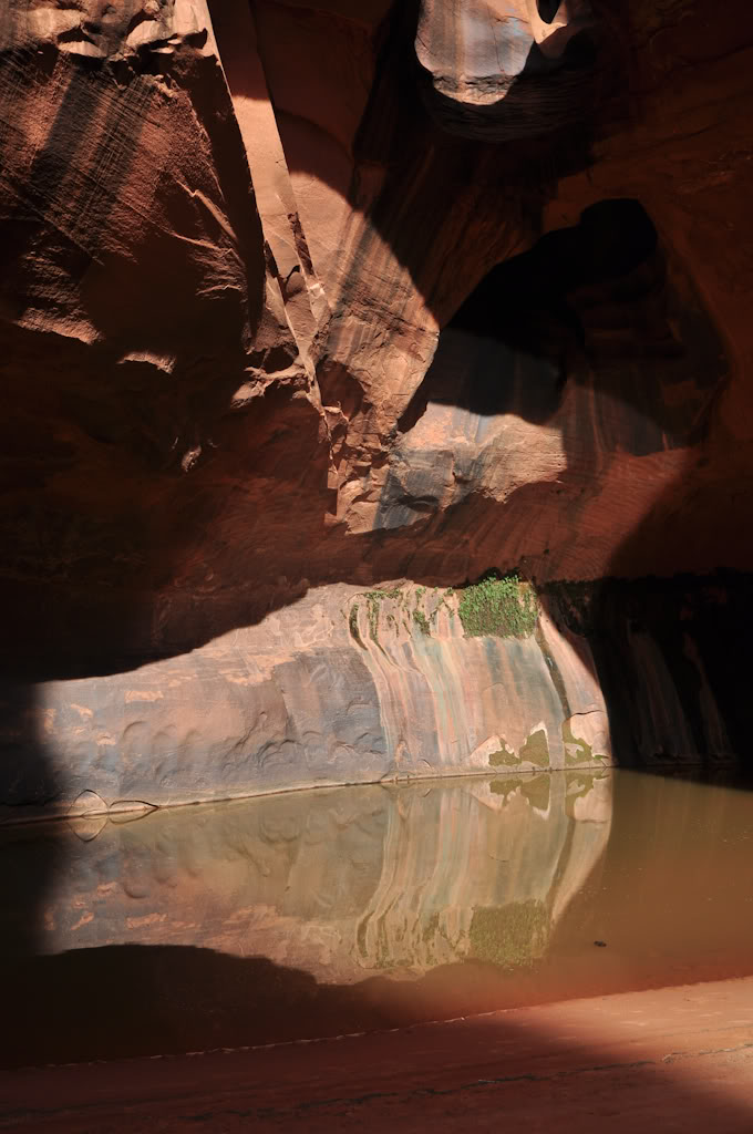 desert2010-6.jpg