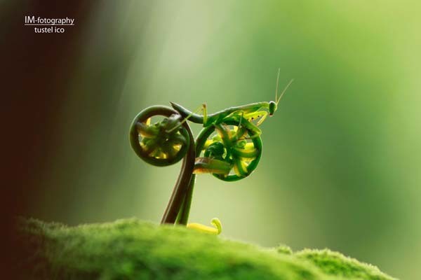 desktop-1430763948.jpg