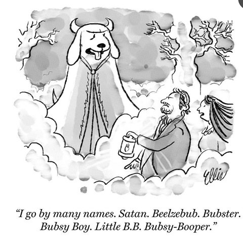 devil dog.jpg