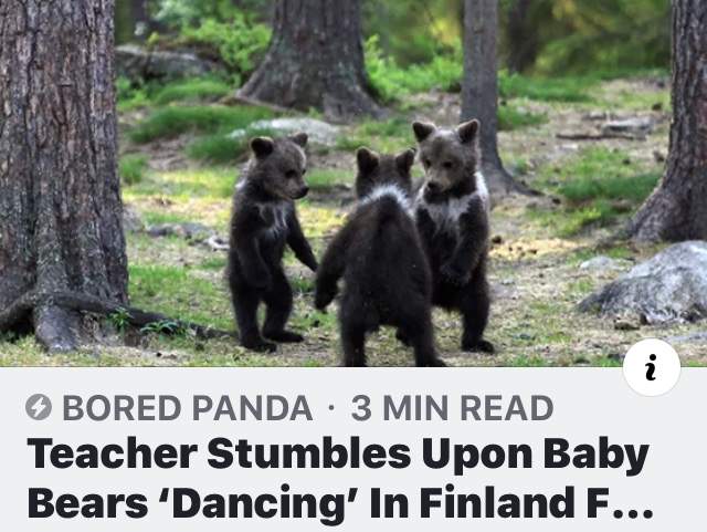 DF42382A-8BF3-4BFC-AD6B-D2F6A2C98906.jpeg