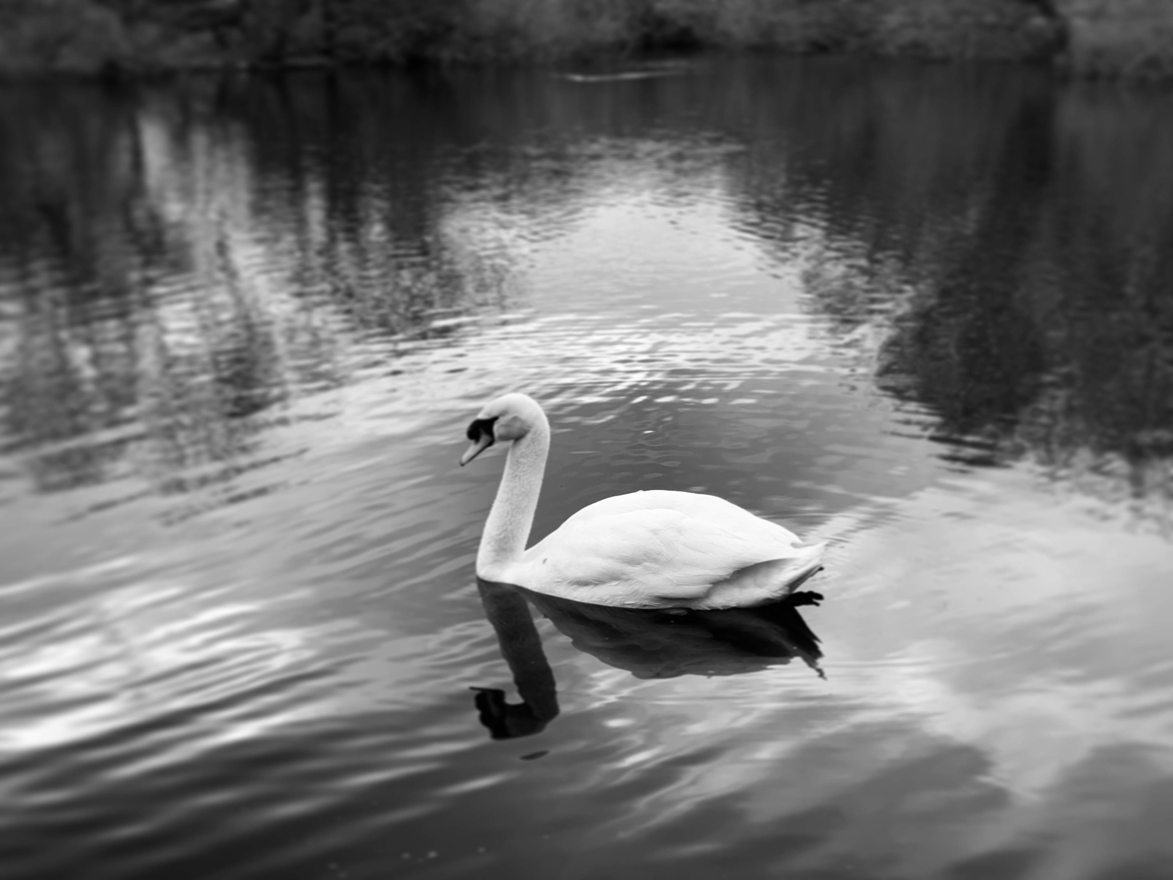 DF955B8C-5802-4CF9-B79D-D0180A3FAA42.jpeg