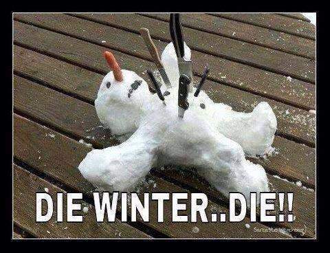 diewinterdie.jpg