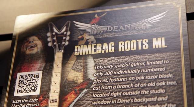 dimebagrootsguitarheader_638.jpg