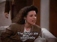 Dingo.jpeg