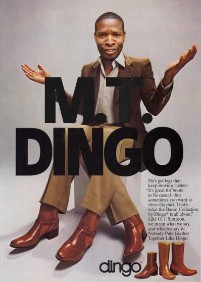 dingo.jpg