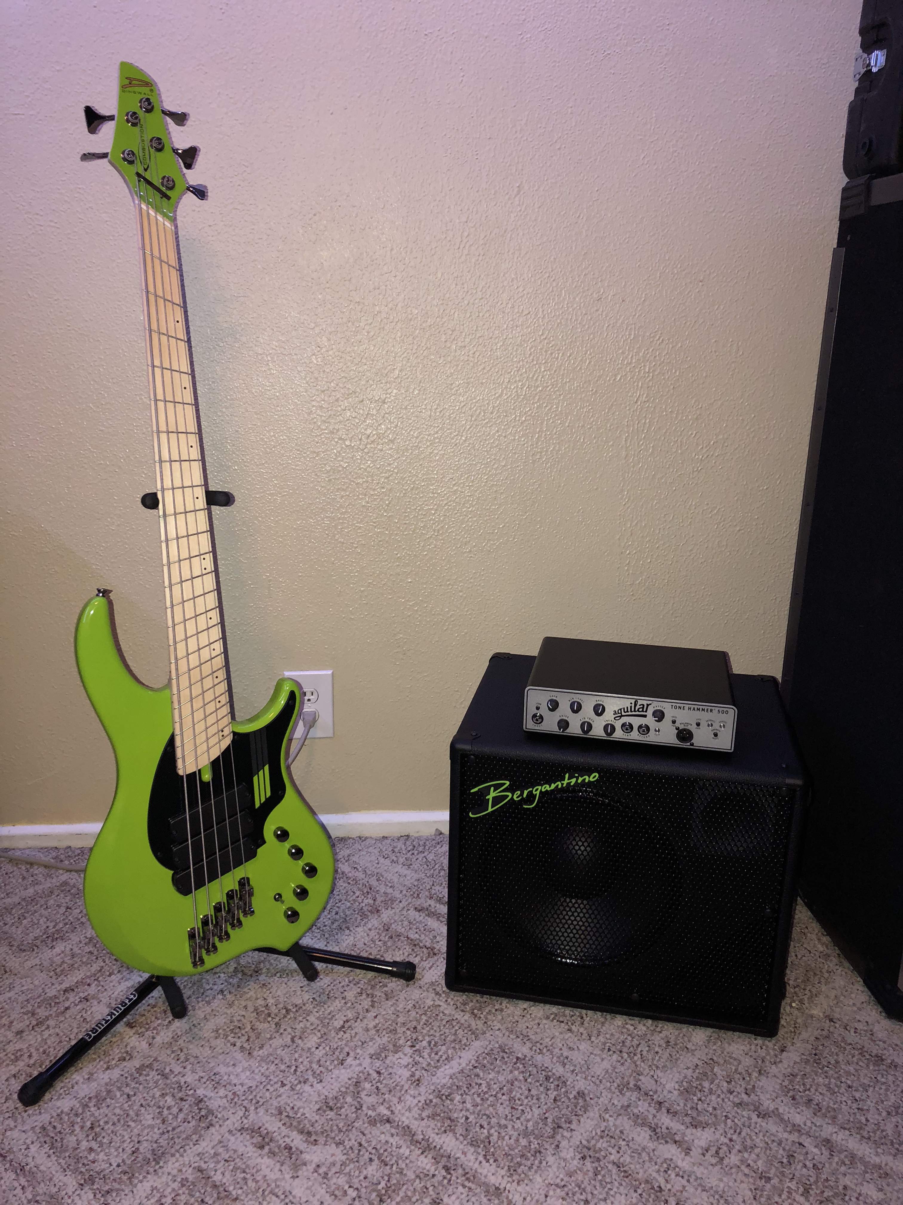 Dingwall-Bergantino set.jpg
