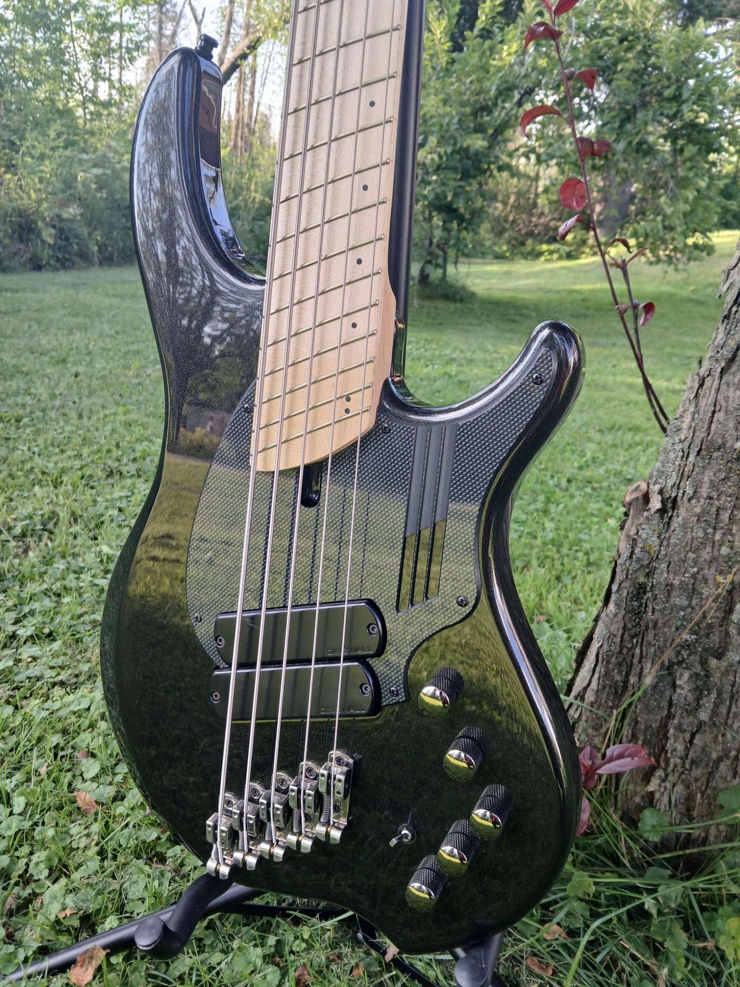 Dingwall NG2 20e.jpg