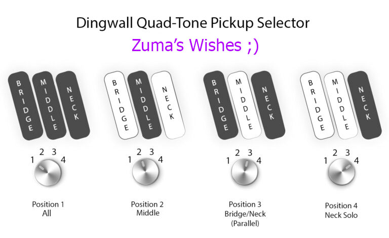 Dingwall Quad-Tone pickup selector.jpg