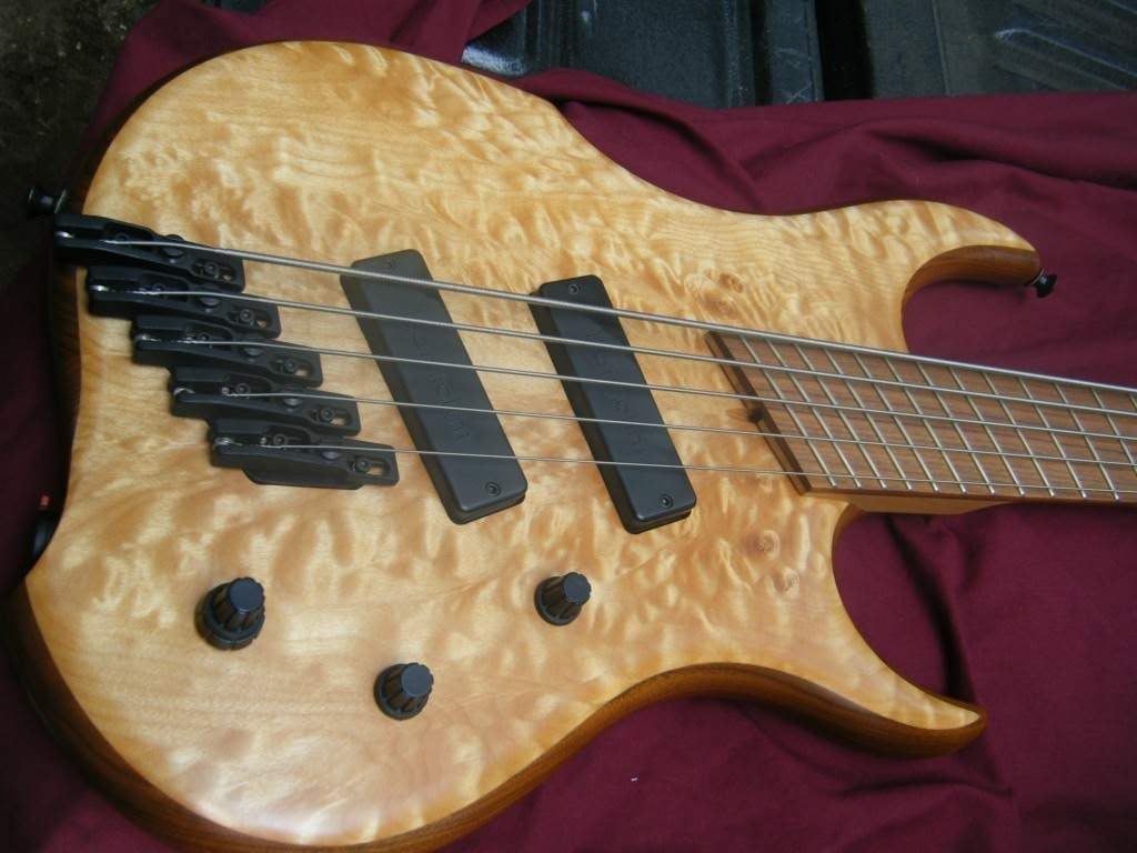 Dingwall Voodoo Prima.jpg