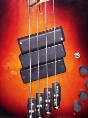 Dingwall Z3 pickups.jpg