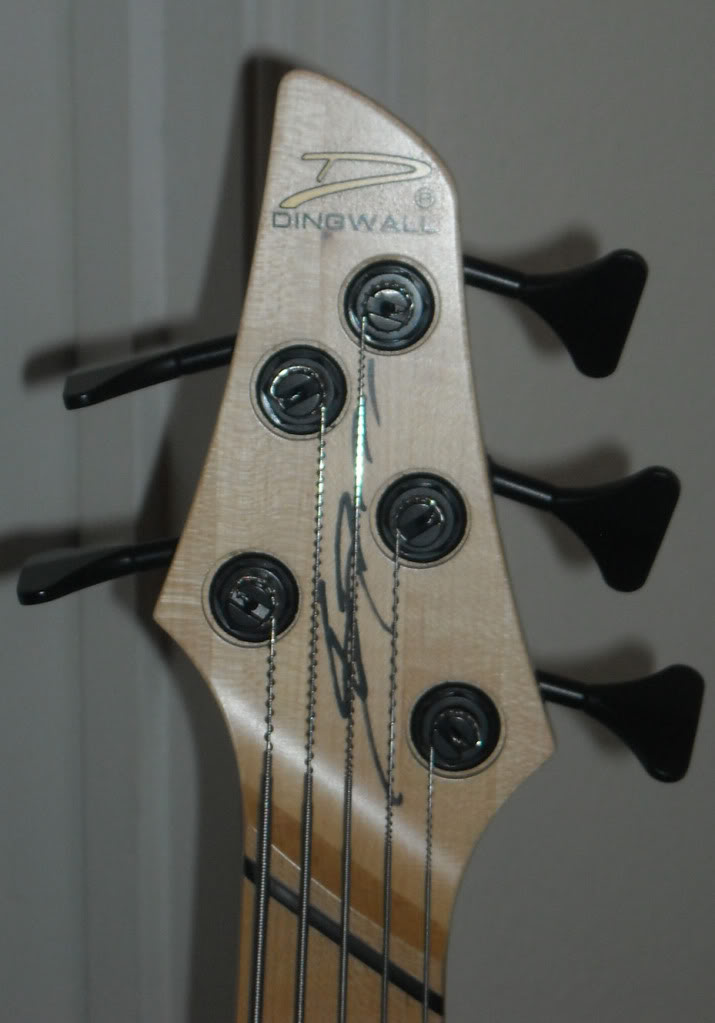 DingwallHeadstock.jpg