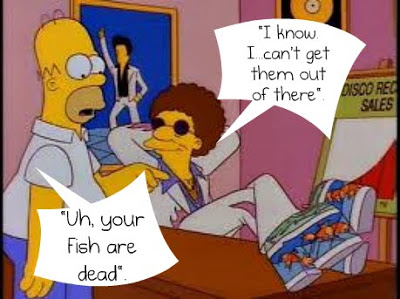 Disco+Stu.jpg
