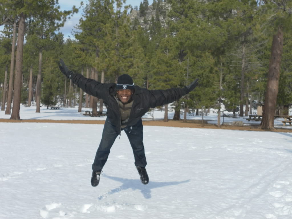 divinginsnow.jpg