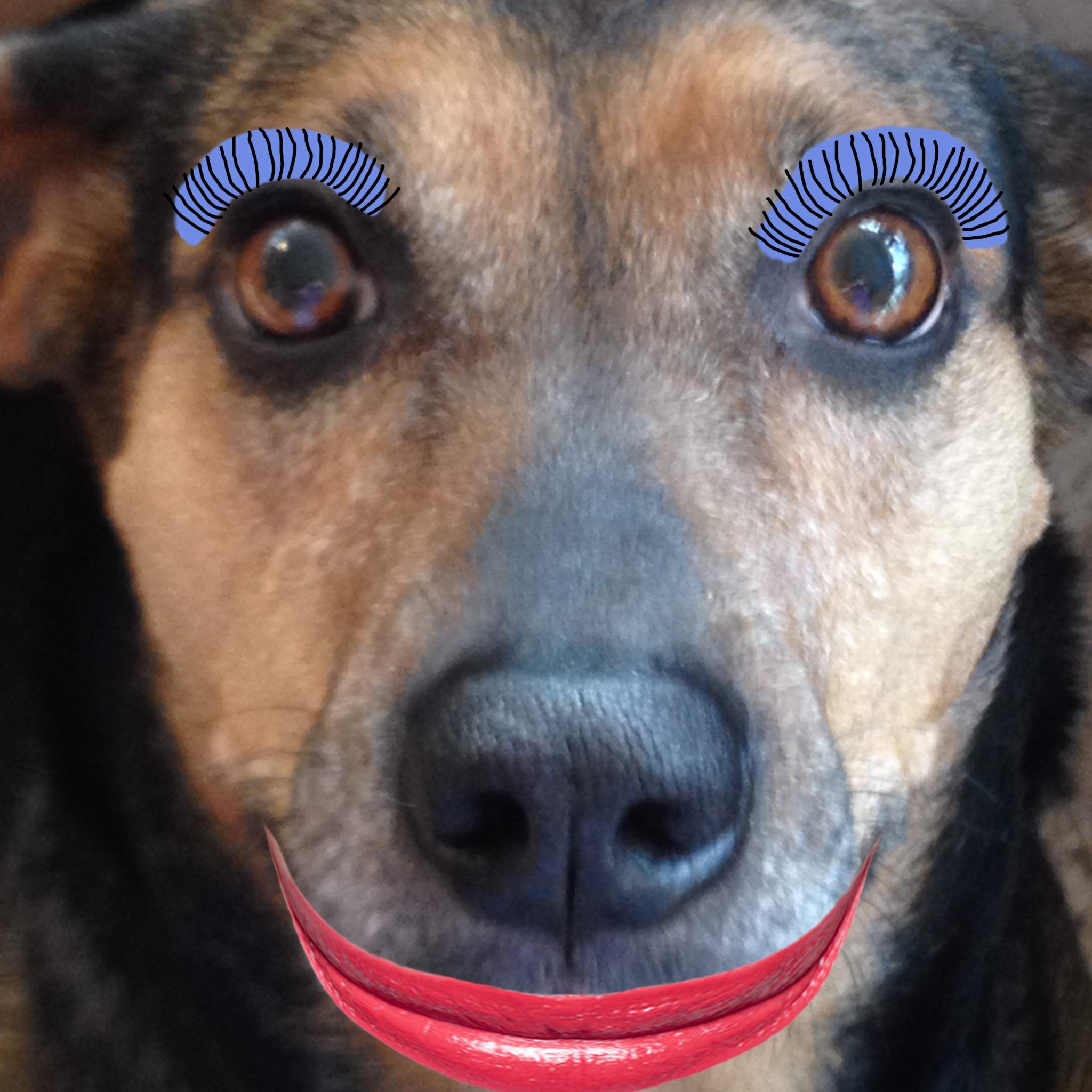dixie makeup.jpg