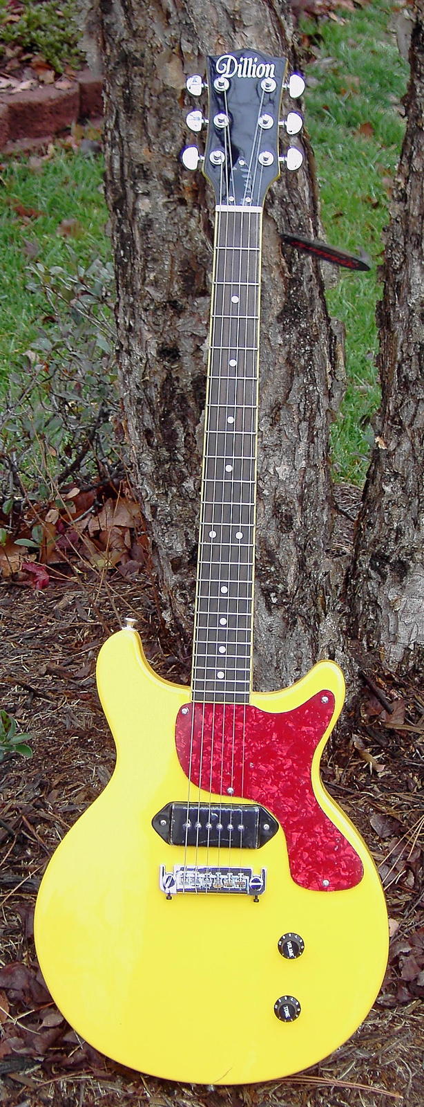 DLJR57.jpg