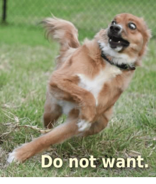 do-not-want-36659555.png