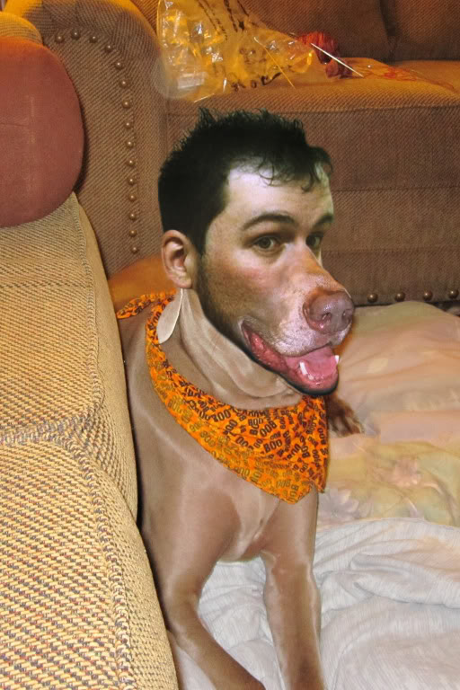 dog-1.jpg