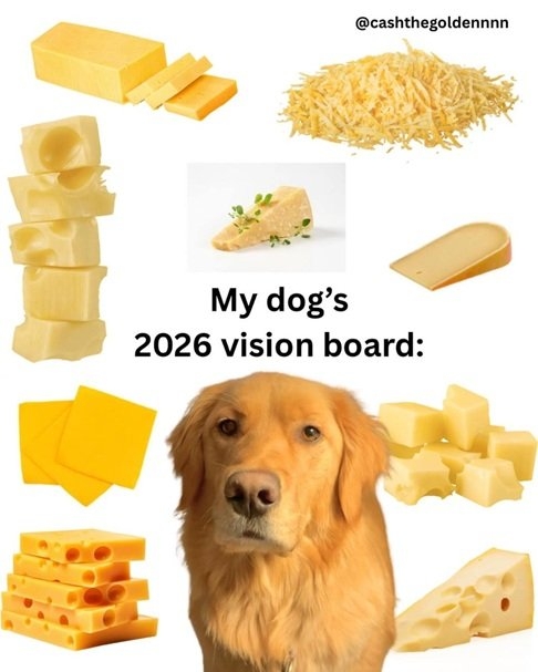 dog 2026.jpg