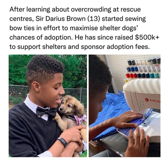 dog adoption.jpg