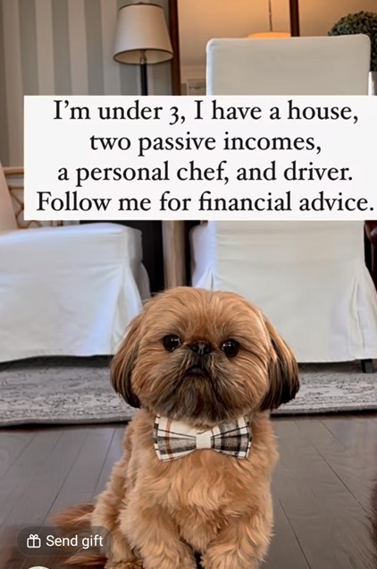 dog advice.jpg