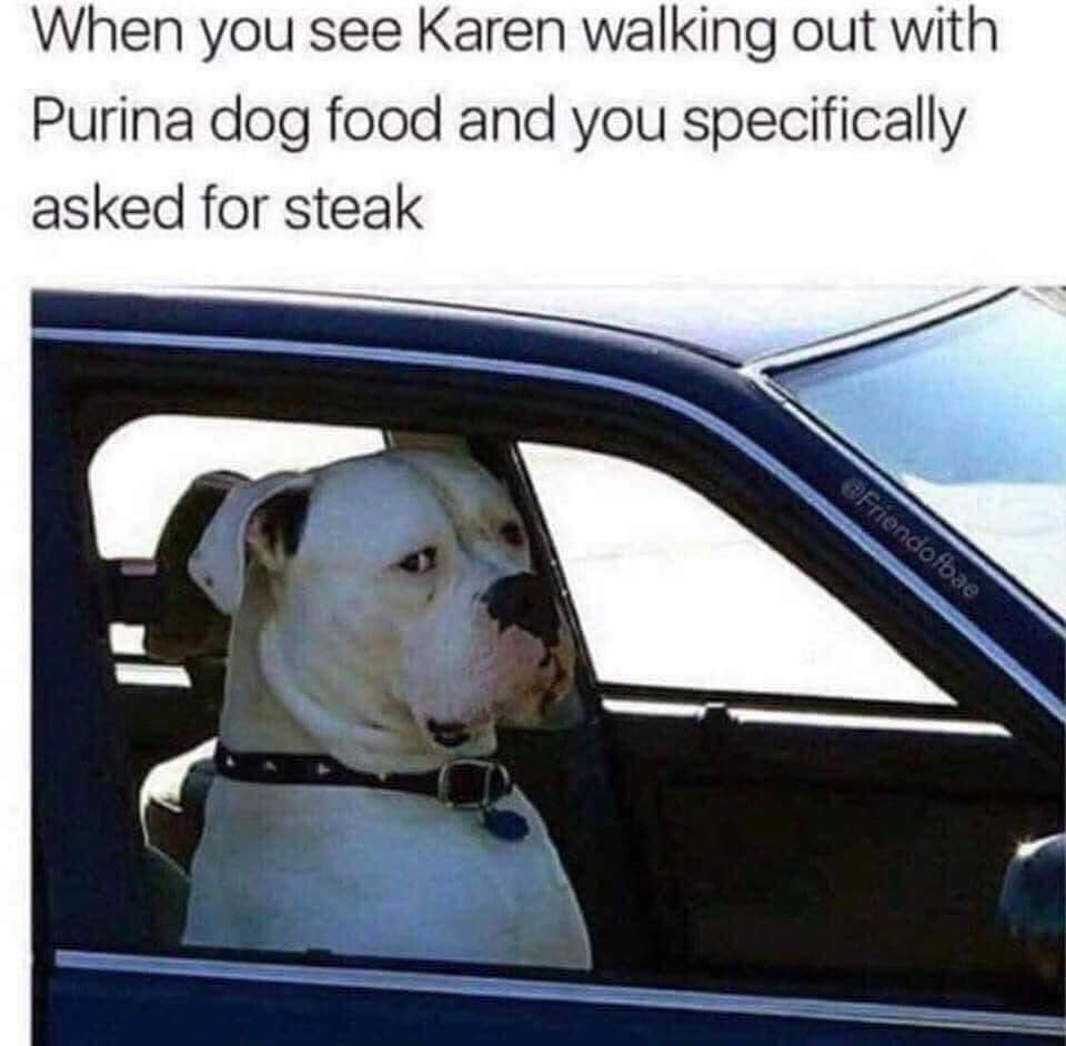 dog asked for steak.jpg