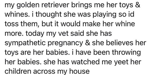 dog babies.jpg