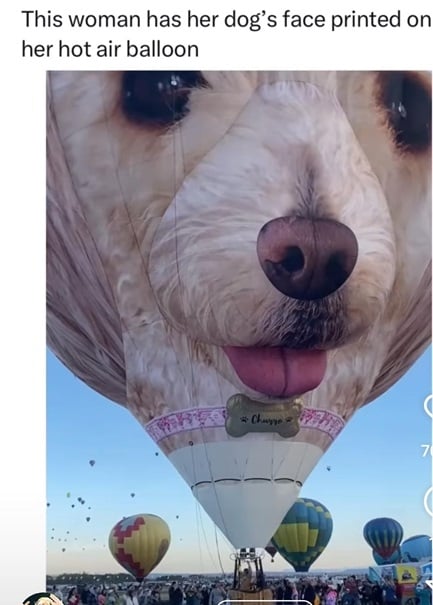 dog balloon.jpg