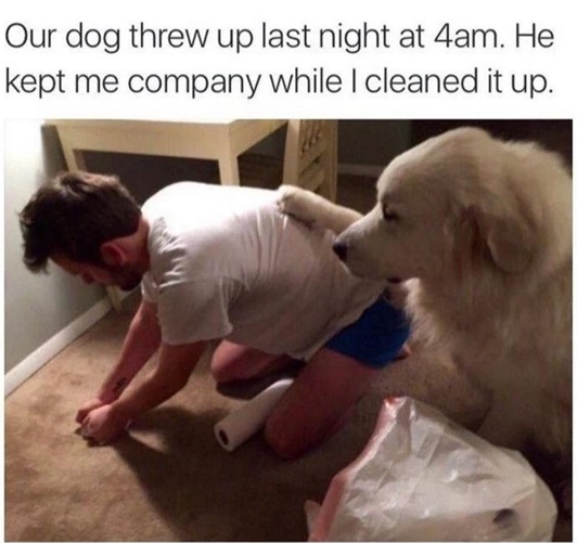 dog barf.jpg