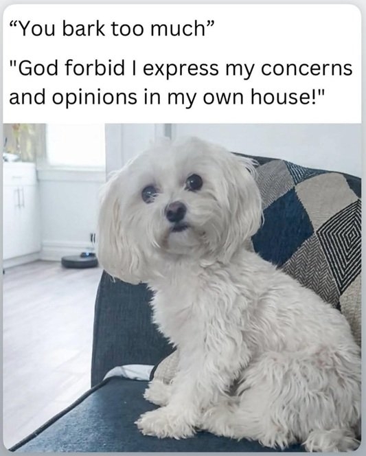 dog bark.jpg