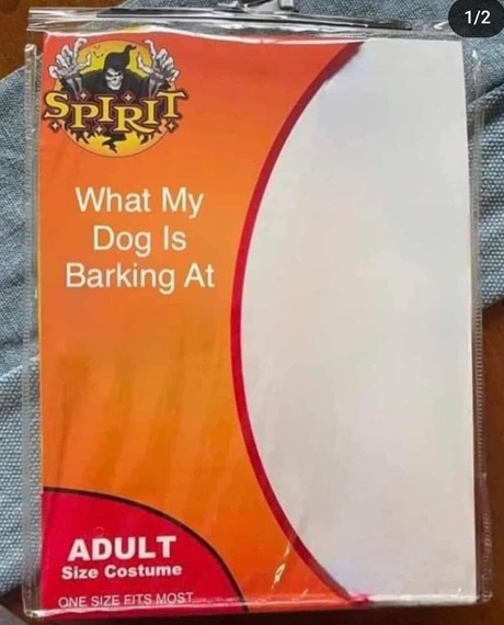 dog bark ostume.jpg