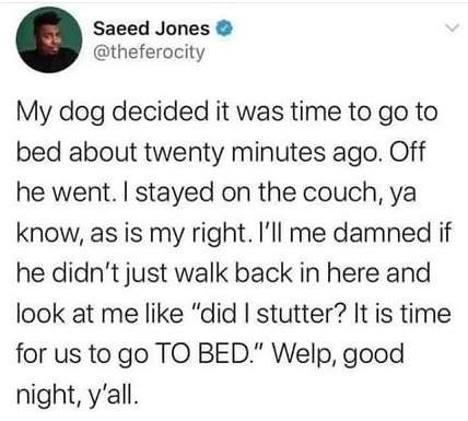 dog bedtime.jpg