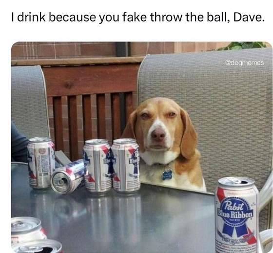 dog beer.jpg
