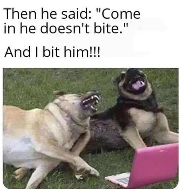 dog bite.jpg