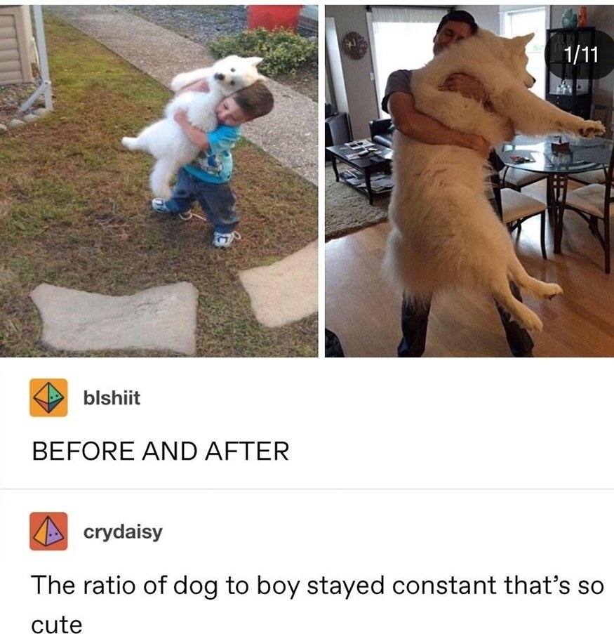dog boy.jpg