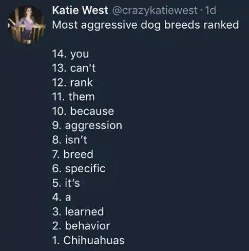 dog breeds.jpeg