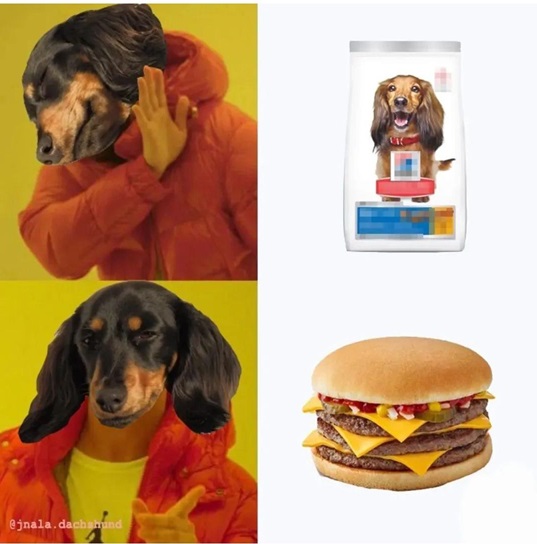 dog burger.jpg