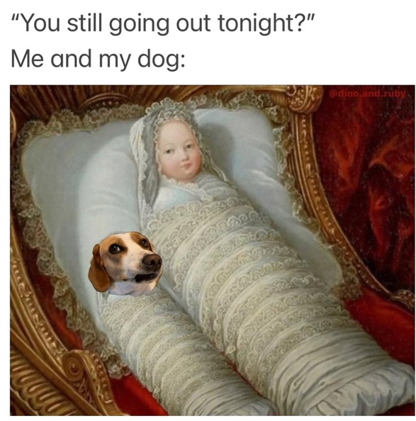 dog busy.jpg