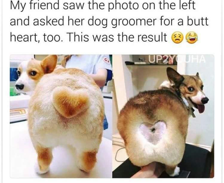 dog butt heart.jpg