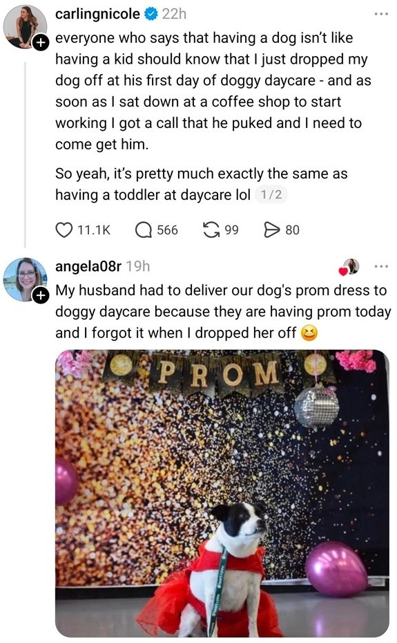 dog care.jpg