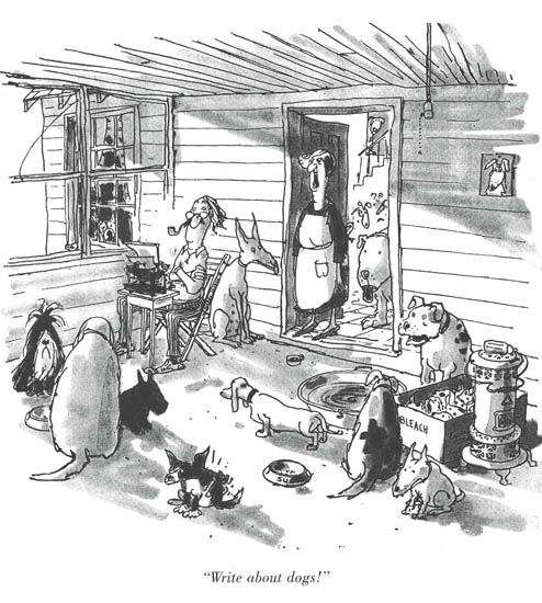 dog cartoon.jpg