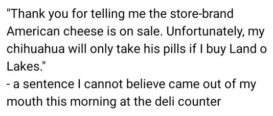 dog cheese 2.jpg