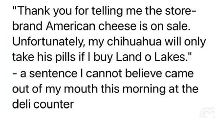 dog cheese.jpg