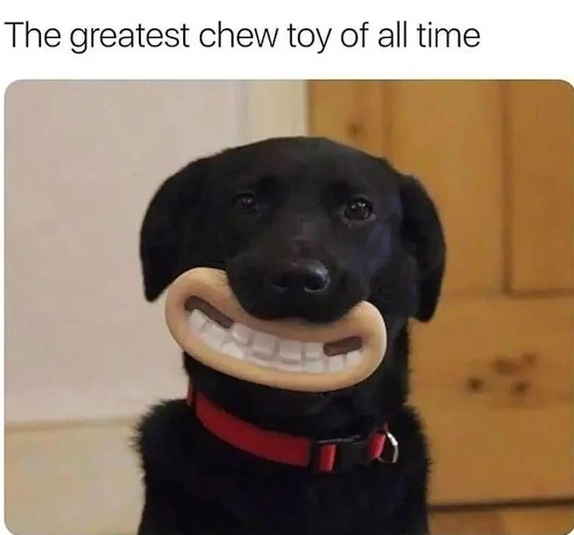 dog chew toy.jpg