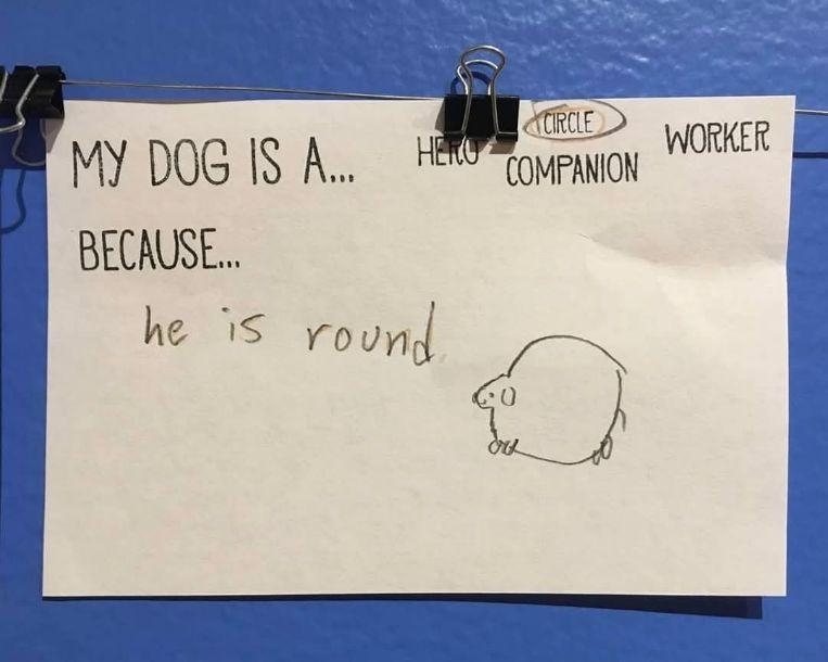 dog circle.jpg