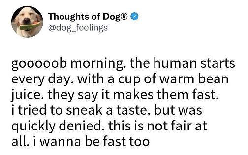 dog coffee.jpg