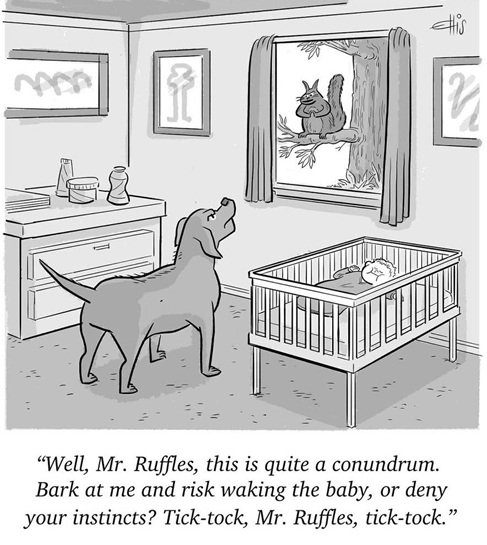 dog comic.jpg