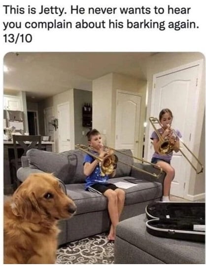 dog complain.jpg