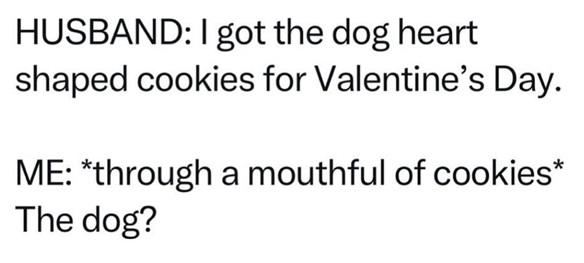 dog cookies.jpg