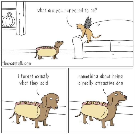 dog costume.jpg